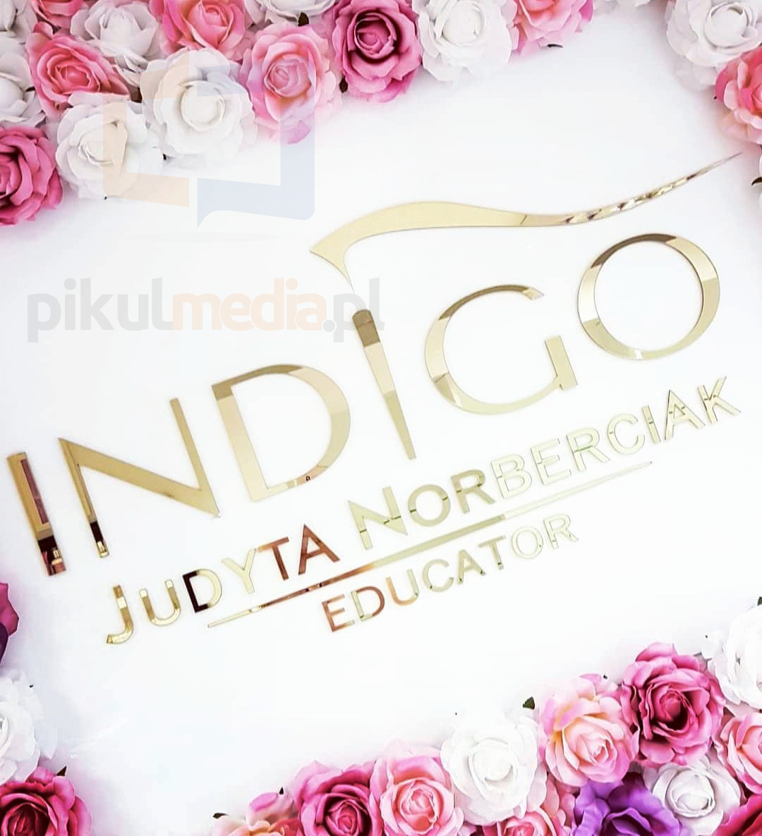indigo educator logo na ścianę